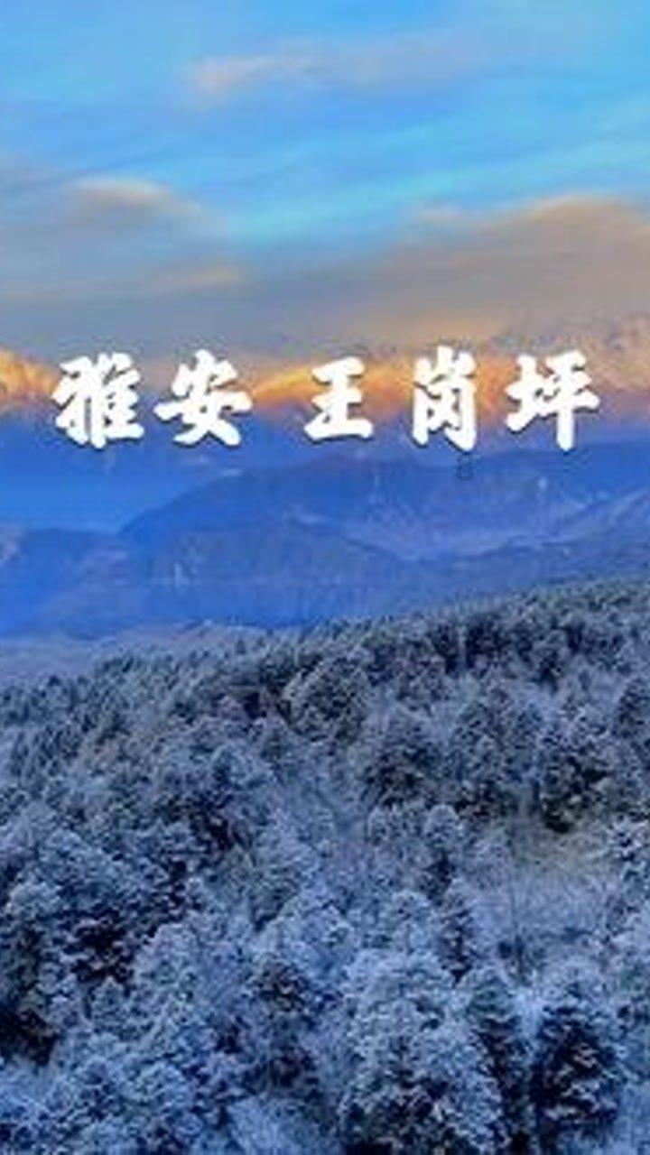 碰然心动