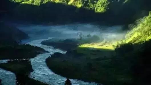 魔狐泡泡龙