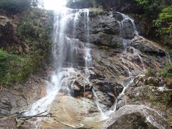 孤岛惊魂原始杀戮