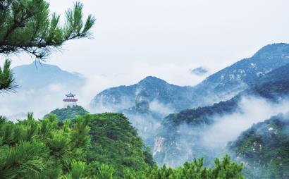 花与剑